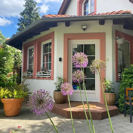 Apartament Evio *