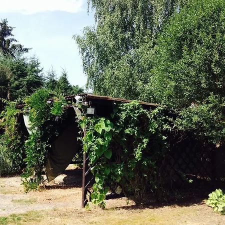 Apartament Evio *