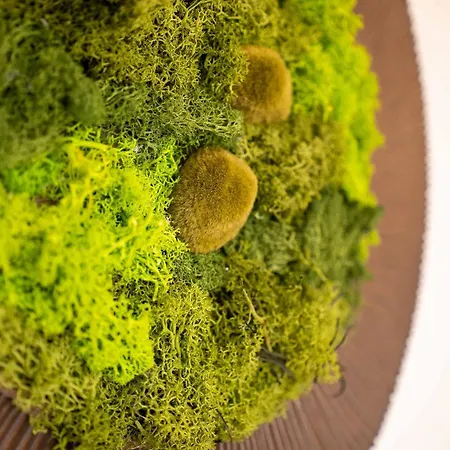 Vila Evio Trebon * Тршебонь