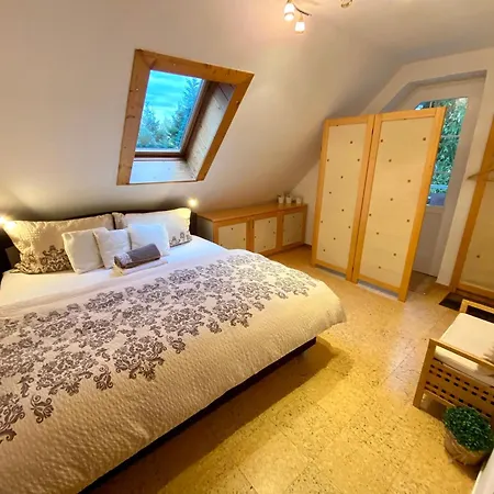 Vila Evio Trebon Апартаменты Тршебонь