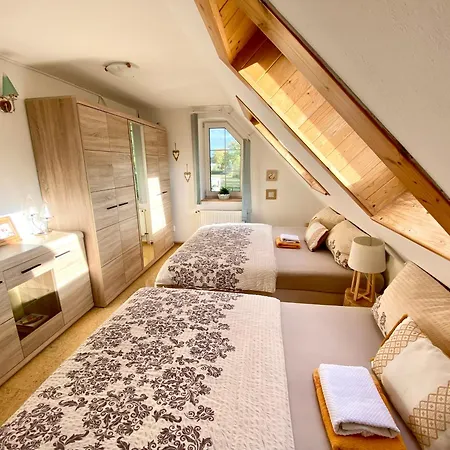 Апартаменты Vila Evio Trebon *