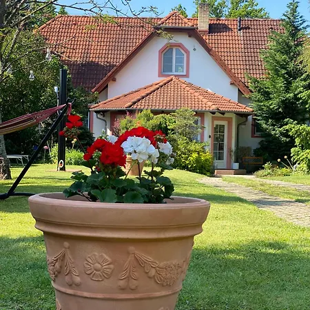 Wellness Vila Evio Trebon - Virivy Bazen Se Slanou Vodou *