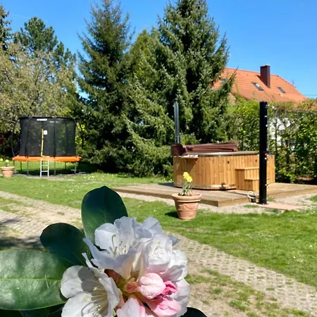 Evio Trzeboń