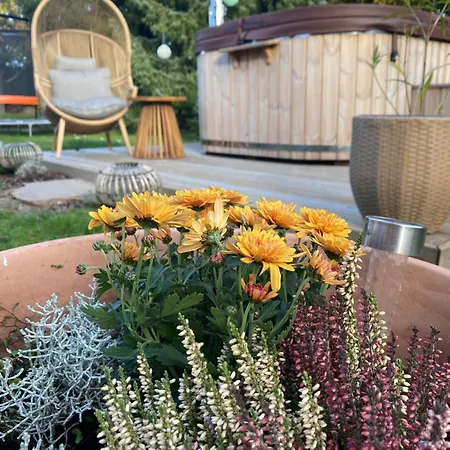 Апартаменты Vila Evio Trebon