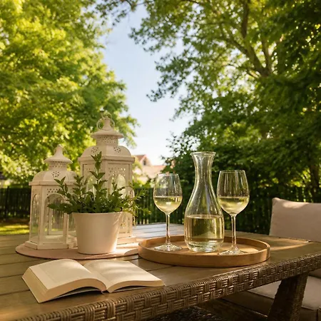 Vila Evio Trebon Apartment